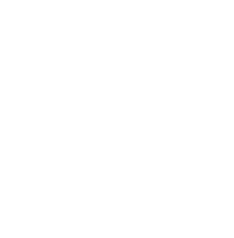 lightbulb icon