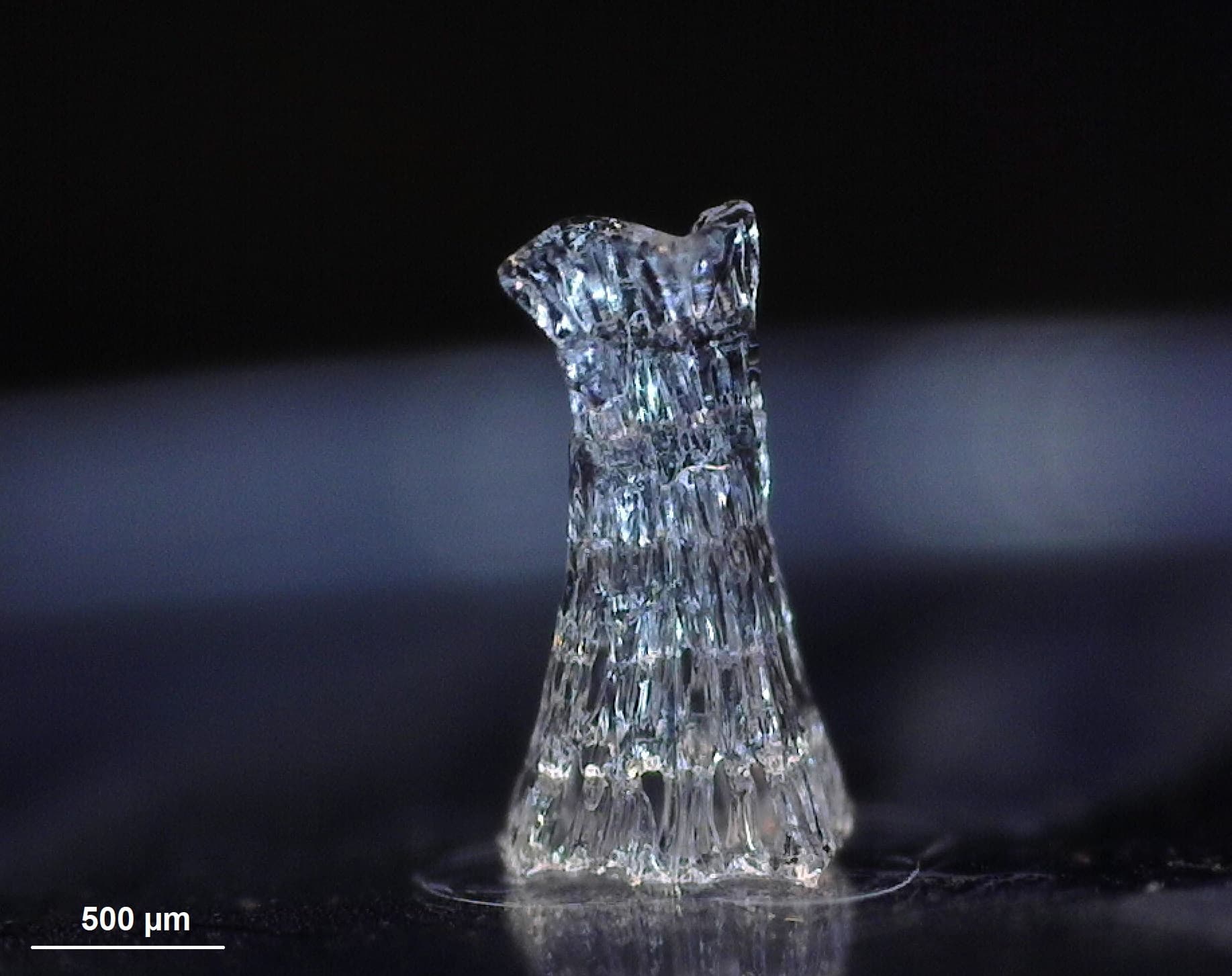 A 1.8-mm-high epoxy (Rigid-E) scaffold for 3D cell culture